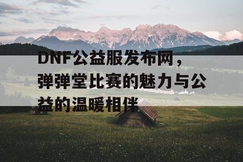 DNF公益服发布网，弹弹堂比赛的魅力与公益的温暖相伴