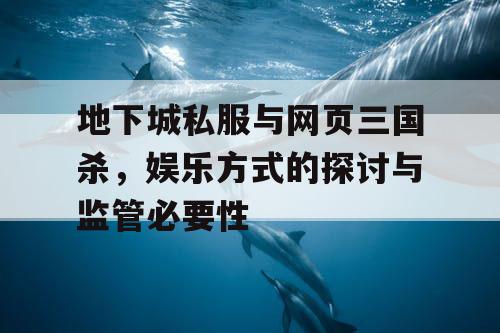 地下城私服与网页三国杀，娱乐方式的探讨与监管必要性