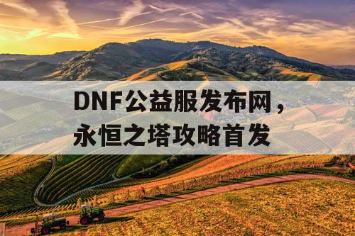 DNF公益服发布网，永恒之塔攻略首发