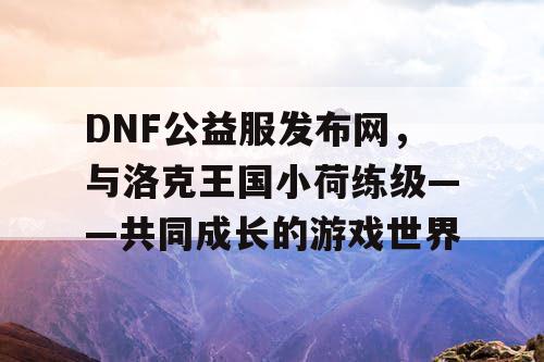 DNF公益服发布网，与洛克王国小荷练级——共同成长的游戏世界