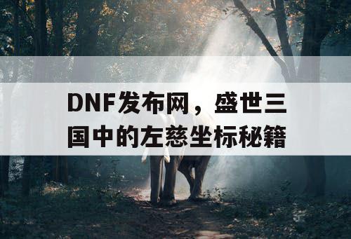 DNF发布网，盛世三国中的左慈坐标秘籍