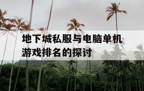 地下城私服与电脑单机游戏排名的探讨