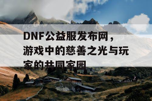 DNF公益服发布网，游戏中的慈善之光与玩家的共同家园