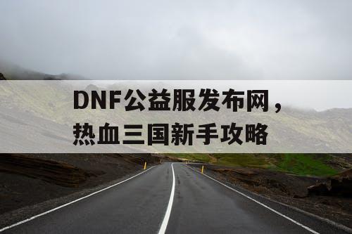 DNF公益服发布网，热血三国新手攻略